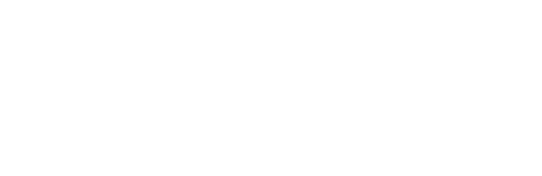 Salona Consulting